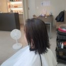 류헤어갤러리 이미지