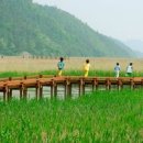 순천-27호 네이버블로그
