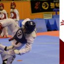 한국체대화랑태권도 이미지