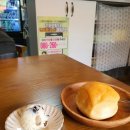 소보리애 이미지