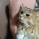 의정부 을지약국 이미지