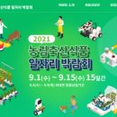 [9월 자율활동] 2021농림축산식품 일자리 박람회 !
