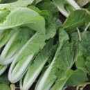 단이농장 이미지