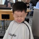 충무공동28 이미지