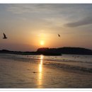 사자약품 이미지