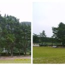 옥당