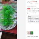 아쿠아랩스 이미지