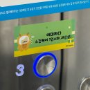 여미하다 이미지