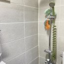 언커먼독 이미지