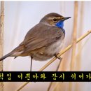 인계동 919 이미지