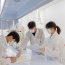 3공단1로 이미지