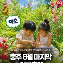 제23회 송년음악회 | 충주요약 | 제23회 대소원면 봉숭아꽃잔치 물놀이 에어바운스 가수정수라 콘서트 총정리
