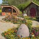 11650-17-103-8 | 광주근교 가볼만한곳 화순 봄꽃축제 방문 후기 | 일정 주차장 프로그램 정보 등