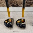 킹스타 | 부모님 모시고 파크골프채 구매한 후기, 킹스타 KS702 선택한 이유