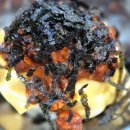 봉구스밥버거신흥점 이미지