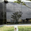 푸르댕댕 | 청주 푸르댕댕 반려견 수영장 이용정보 | 비용 | 멍멍네컷 등 후기