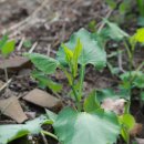 삼거리농장 이미지