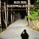 장흥숲길캠핑장 | 통영 여행 캠핑장, 글램핑에 카라반까지 통영편백숲길캠핑장 솔직 후기(1)