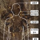 신발공주