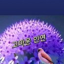 건행 이미지