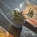 동해대로 | 내돈내산 아이랑 홈 마리나 호텔 디럭스 킹 베드 솔직후기 전망 주차 서비스 버블파티 시간 예약 쿠폰 정보