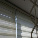 로벨리타운 이미지