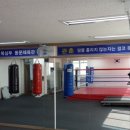 YM복싱클럽 이미지