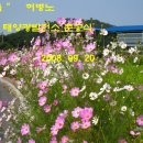 번창 태양광발전소 이미지