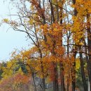 초희의 집 이미지