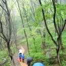 둘레길 펜션 이미지