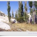 화이트밸리 이미지