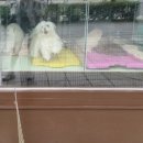 가인동물병원 이미지