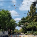 대림공원(논골새싹) 이미지