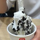 지음동물의료센터 이미지