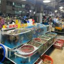 돌산중앙횟집 | 여수 수산시장 회포장 남원횟집, 왕새우 대하 다금바리 후기 수산물특화시장 남산동 가성비 포장 택배 맛집