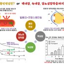 바른약국 이미지