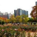 꽃향기 머무는 곳 이미지