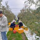 양산면사무소 이미지