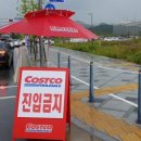 코스트코 세종점 이미지