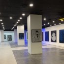 이채쇼핑몰 이미지