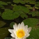 솔빛학교 이미지