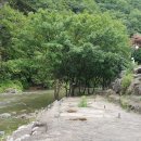 랜드오브코리아 부동산중개 이미지