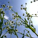 노을공원 이미지