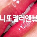 보니또앤