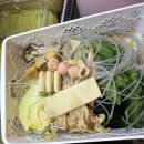 등비룡탕화쿵푸 이미지