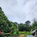 에덴카센타 이미지