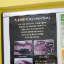 행복드림 동물병원 이미지