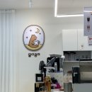 달다곰이고양