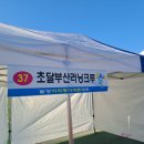 밀양소방서 | 2025년 제21회 밀양마라톤 하프참여후기