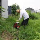 행정용 8 이미지